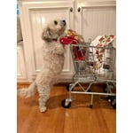 Image 6 of customer photos