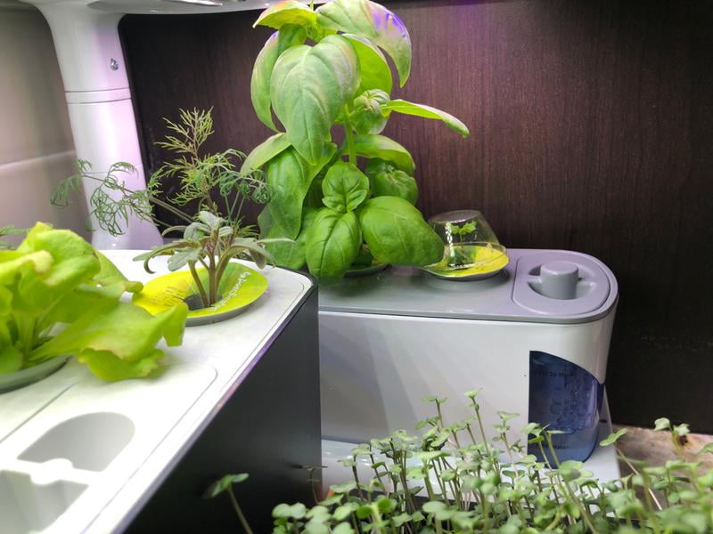 Aerogarden Refill Kit Walmart Com Walmart Com