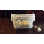 Image 7 of customer photos