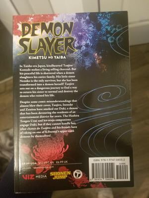 Demon Slayer, Kimetsu No Yaiba Mangá Vol. 10, Português br na Americanas  Empresas