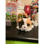 Image 2 of customer photos