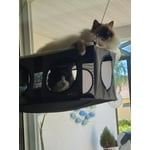 Image 6 of customer photos