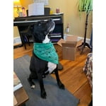 Image 1 of customer photos