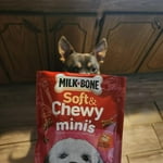 Image 4 of customer photos