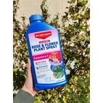 Image 2 of customer photos