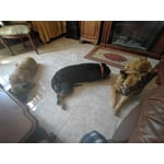 Image 2 of customer photos