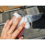 Image 7 of customer photos