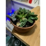 Image 4 of customer photos