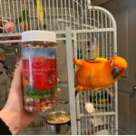 Image 6 of customer photos