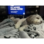 Image 5 of customer photos