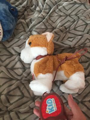 walmart kid connection walking pet