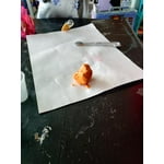 Image 5 of customer photos