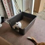 Image 2 of customer photos