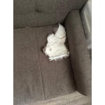 Image 6 of customer photos