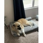 Image 3 of customer photos