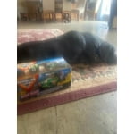 Image 6 of customer photos