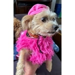 Image 5 of customer photos