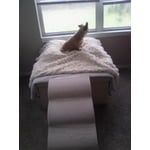 Image 7 of customer photos