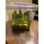 Image 4 of customer photos