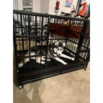 Image 3 of customer photos