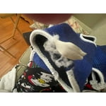 Image 2 of customer photos