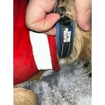 Image 6 of customer photos