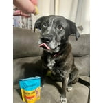 Image 6 of customer photos