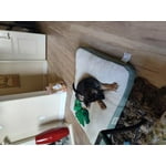 Image 2 of customer photos