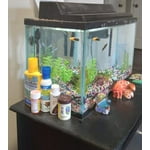 Image 4 of customer photos