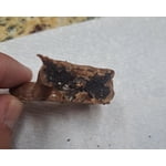 Image 8 of customer photos