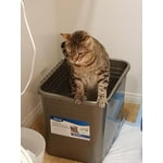 Image 1 of customer photos