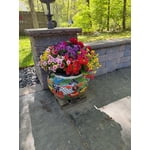 Image 1 of customer photos