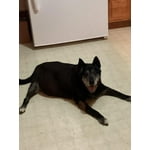 Image 4 of customer photos