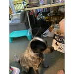 Image 2 of customer photos