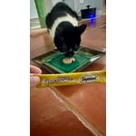 Image 7 of customer photos