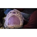 Image 3 of customer photos