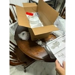 Image 4 of customer photos