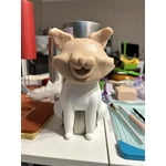 Image 3 of customer photos