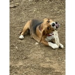 Image 6 of customer photos