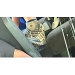 Image 2 of customer photos