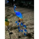 Image 3 of customer photos