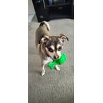 Image 1 of customer photos