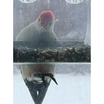 Image 1 of customer photos