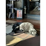 Image 6 of customer photos