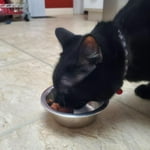 Image 7 of customer photos