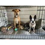 Image 1 of customer photos