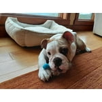 Image 7 of customer photos