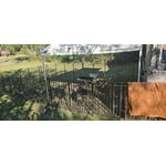 Image 6 of customer photos