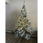 Image 2 of customer photos