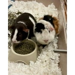 Image 3 of customer photos